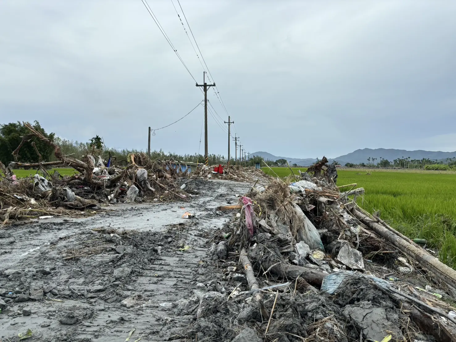 謝國樑、邱佩琳心繫花蓮災情捐一月薪資 結合基隆市民善款200萬助重建 3 1355101 0
