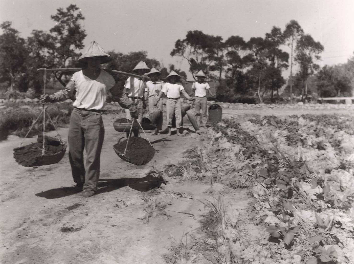 1403612_0 - 報新聞 Mega News 1403612 0