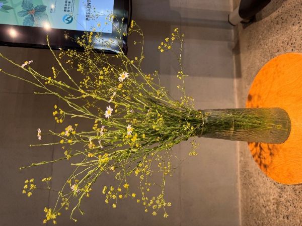 珍稀植物遇見社區創意 苗南跨域協作共譜生態綠網新篇章 4 20250916161627 63b853ae