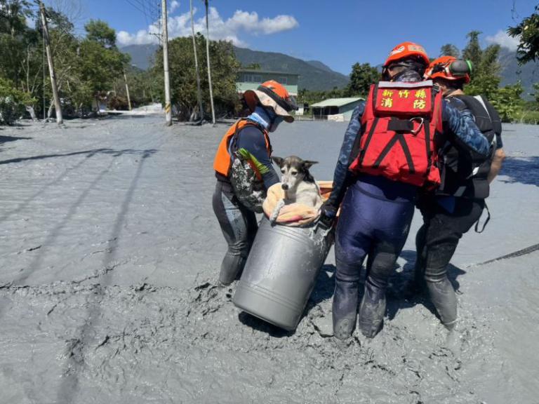 竹縣府20輛機具馳援花蓮 協助清理30噸淤泥及廢棄物 5 20250927172325 552a56d5