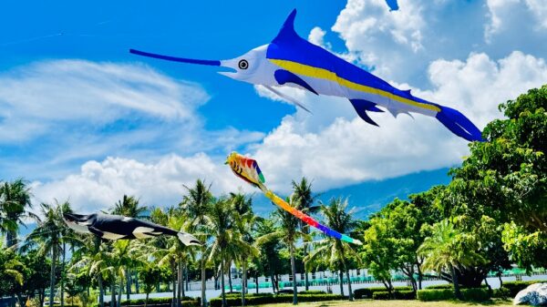 東海岸風箏盛典!「大鯨旗.大成功」2025成功鎮風箏節9/28登場 5 20250927220605 72 600x337 1