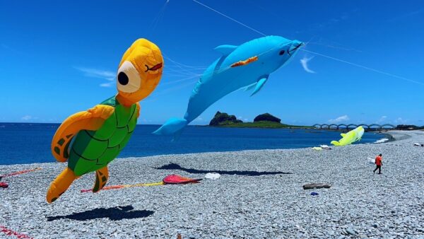 東海岸風箏盛典!「大鯨旗.大成功」2025成功鎮風箏節9/28登場 6 20250927220620 27 600x338 1