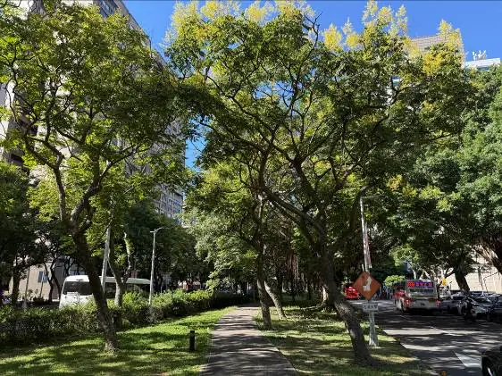 410ed4f3 f73f 4d52 aa3a 294e821ed3be