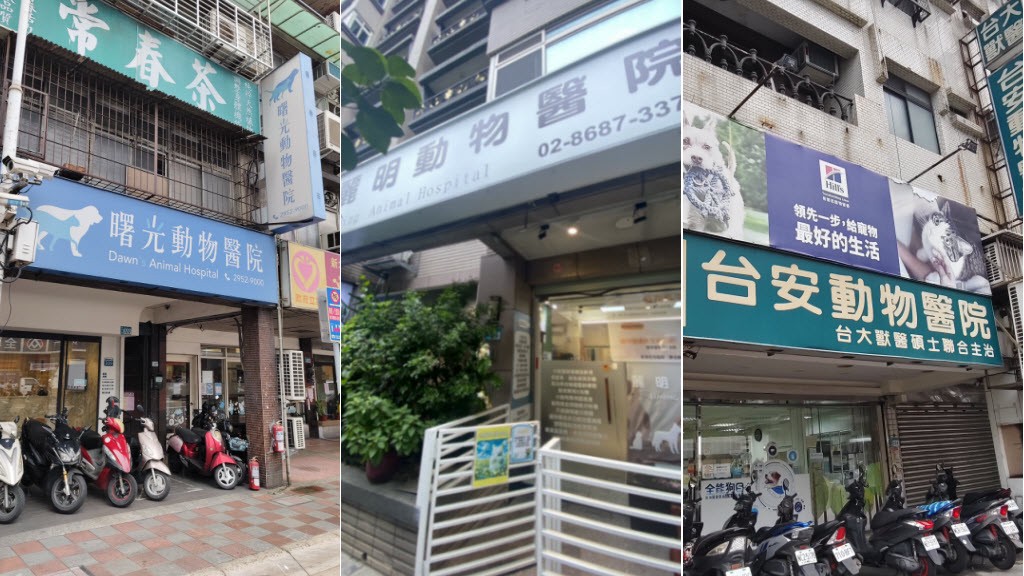 從陪伴走向照護 寵物醫療逐步融入現代生活日常 7 51b55995 323d 49dd 827b 52510d3389e3 175890339278461568101256240