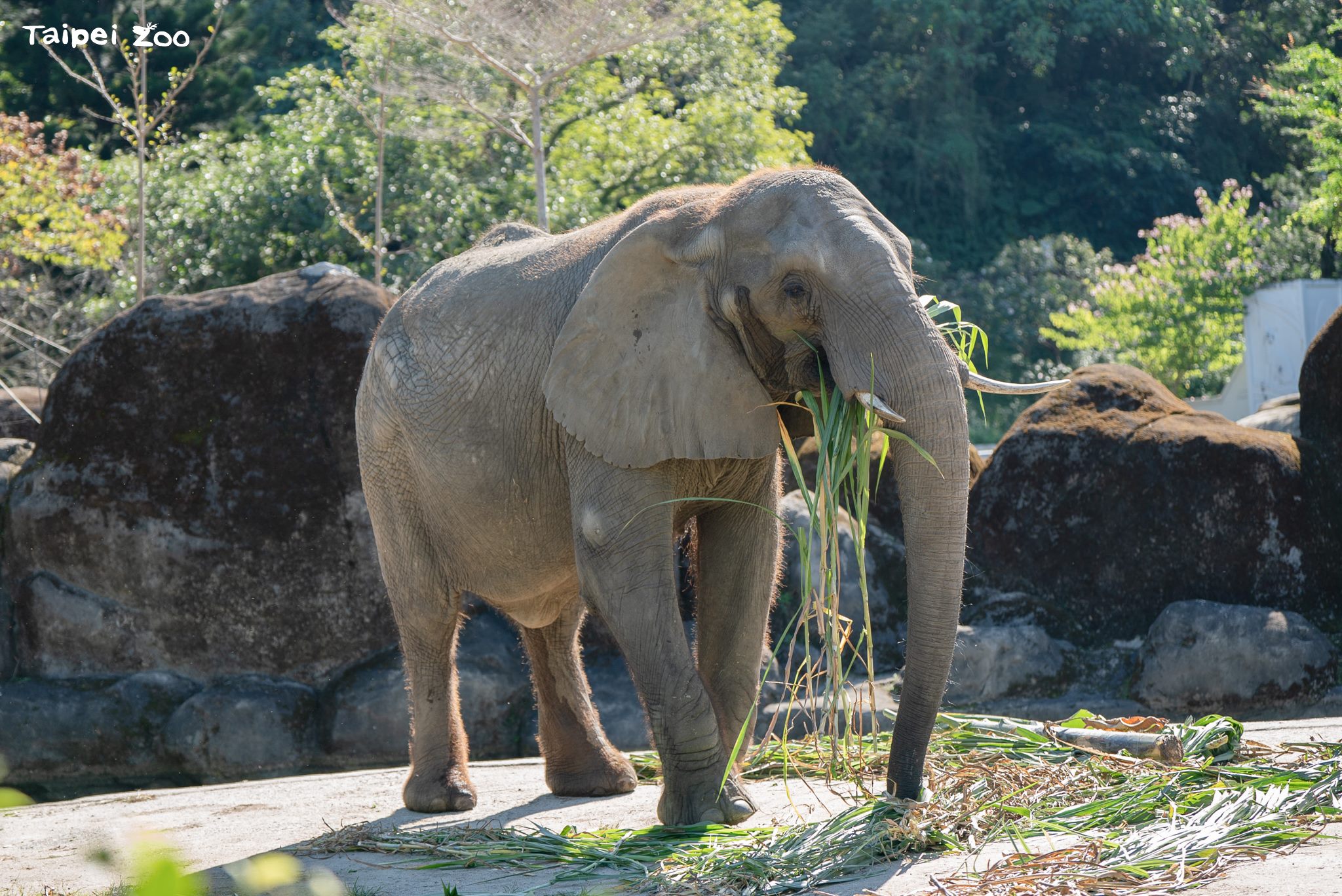 8a31cf54 1891 40b8 bd59 af3d1ddd3e13