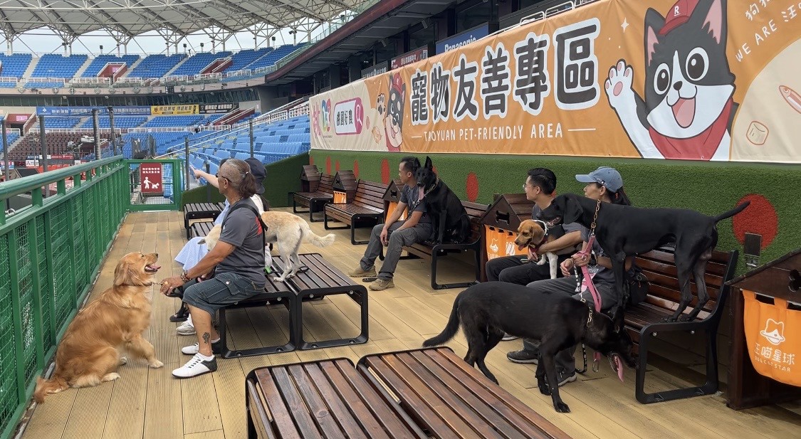 毛英雄陪球迷加油!搜救犬走進球場應援公益行動 4 9f9abd2a 4a0b 417a 8832 3158ff01c275 175808892969804616609686306