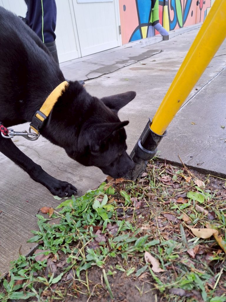 LINE ALBUM 202579 250709 160 1 0 768x1024 1