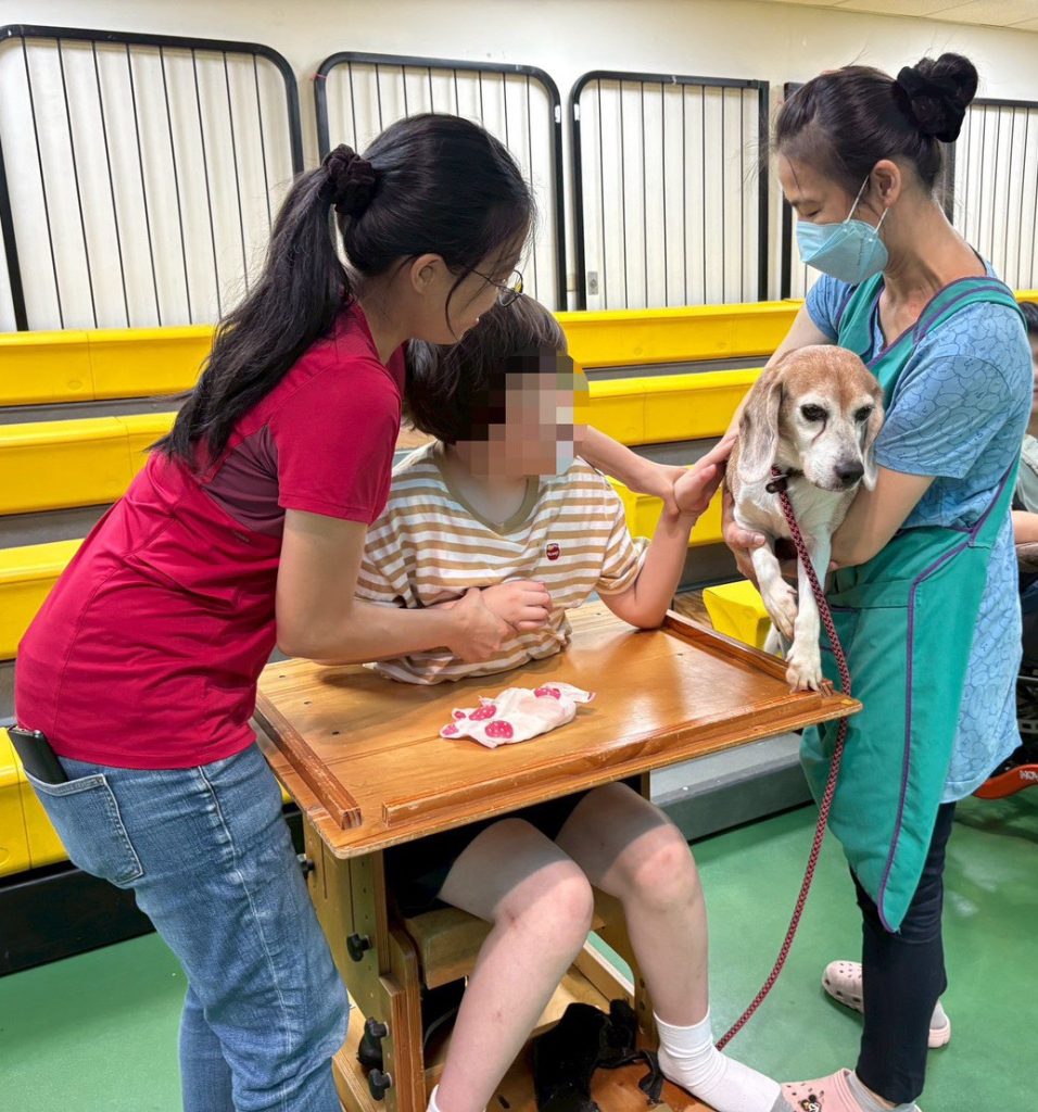 S__172564537 - 報新聞 Mega News S 172564537 956x1024 1