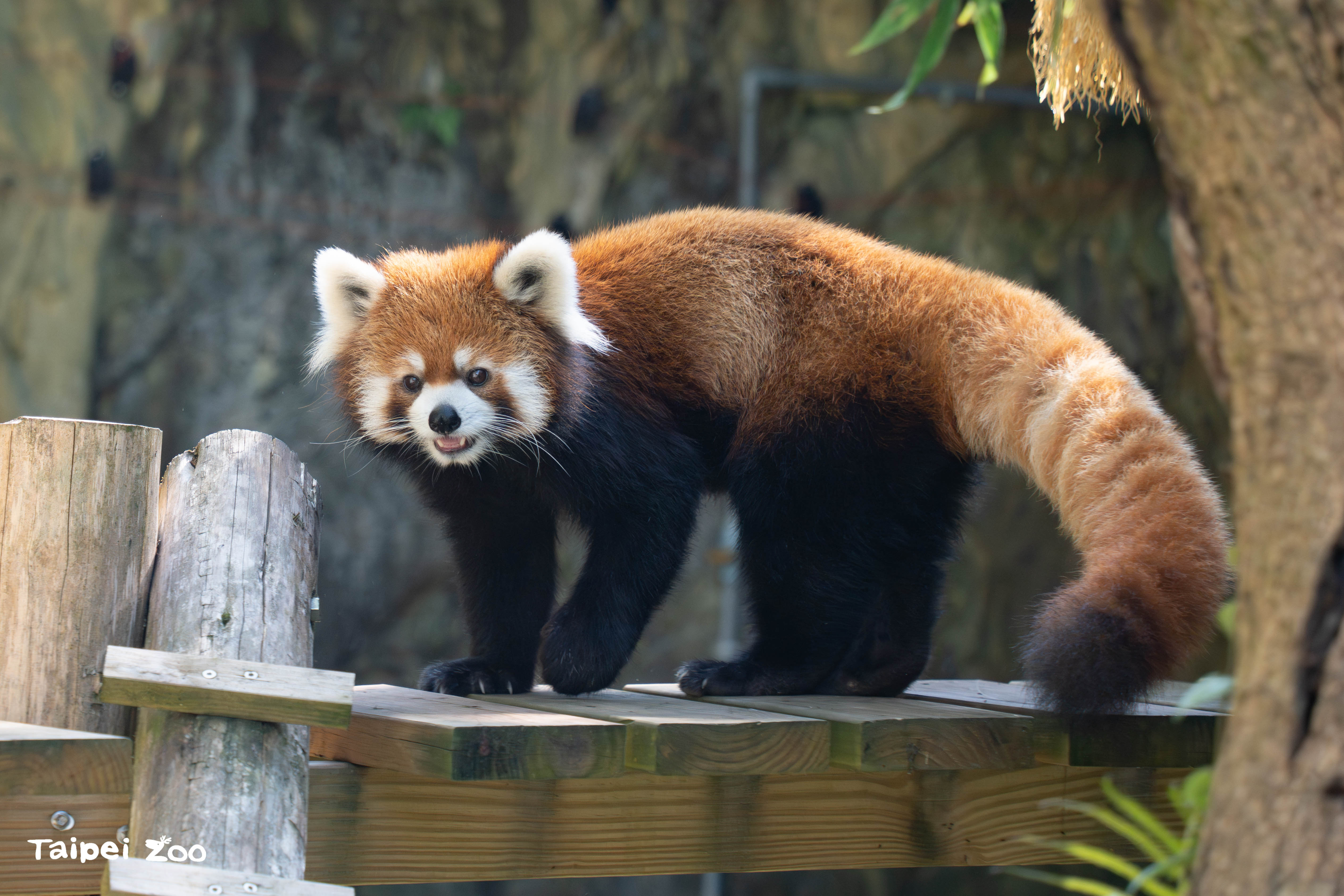 b86d2d8b bdfd 4768 99a7 457b56f0cfa5