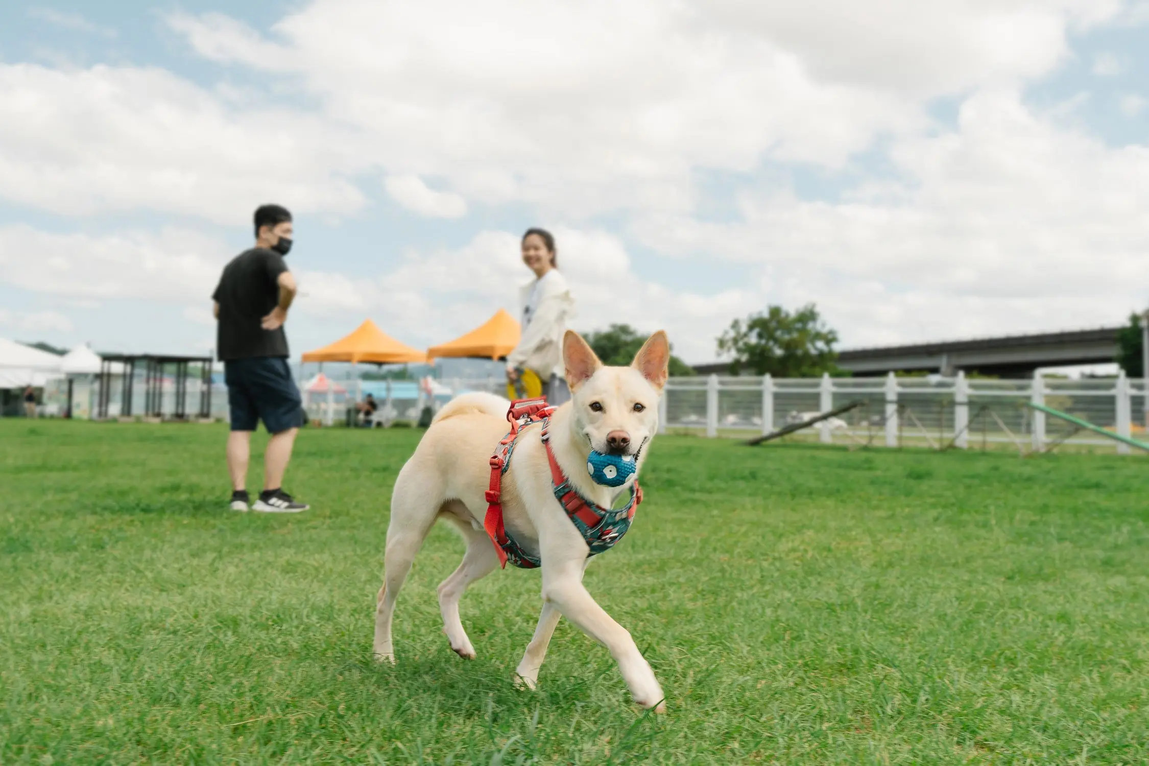 d3c7e325 9953 4b83 bf17 2e35e6d37791