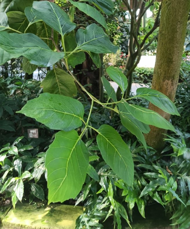 eeba92ee 5b36 455a a203 7ccfcfb67899