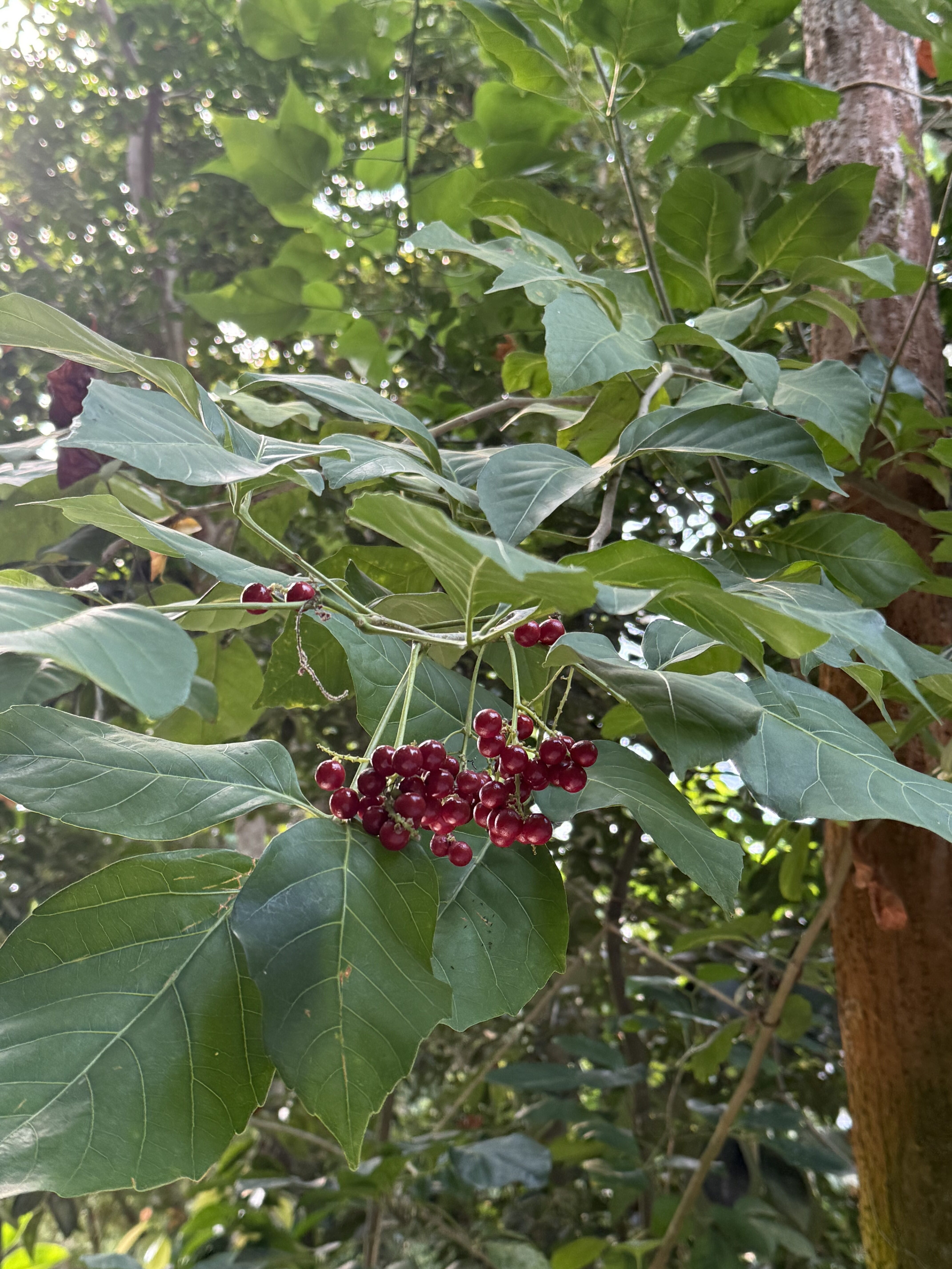 ef8e2075 eccf 4e2d bbd6 e6b6fe406888 2 rotated 1