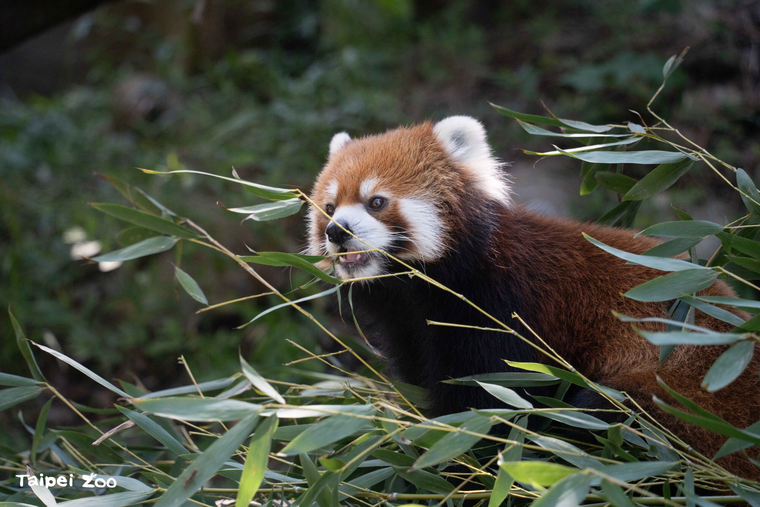 ef8e2075 eccf 4e2d bbd6 e6b6fe406888 4