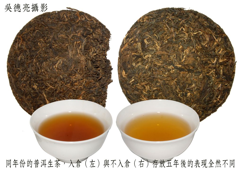 同年份的普洱生茶入倉左與不入倉右存放五年後的表現全然不同 - 報新聞 Mega News 同年份的普洱生茶入倉左與不入倉右存放五年後的表現全然不同 1024x725 1