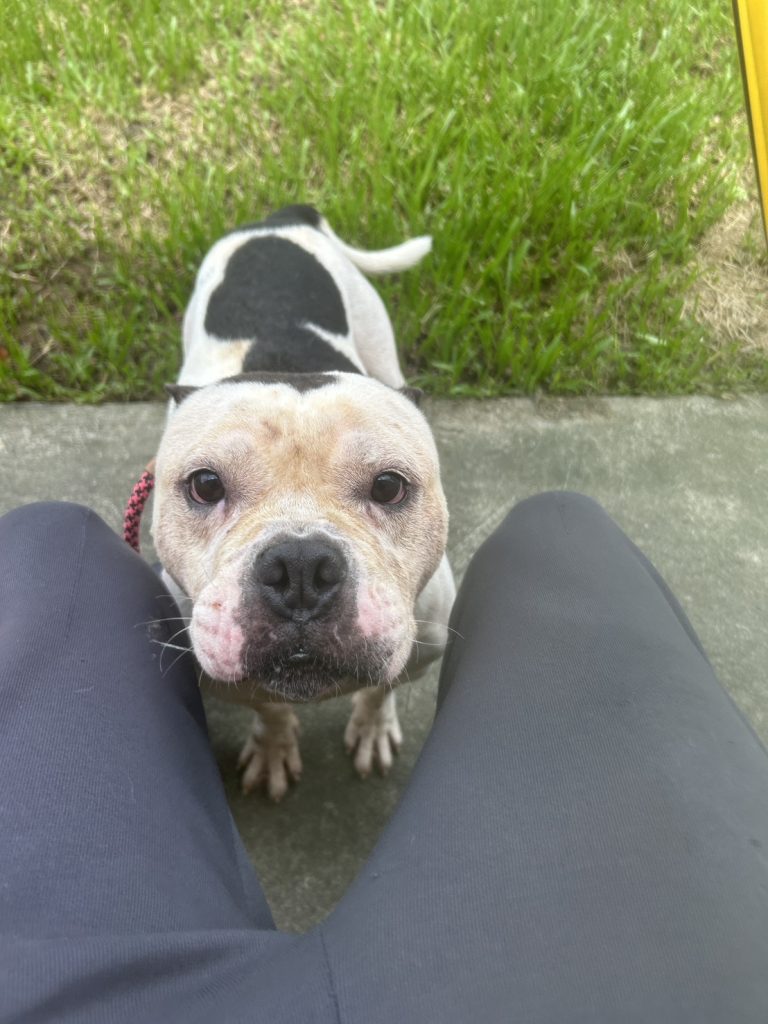 大扣 4 0 768x1024 1