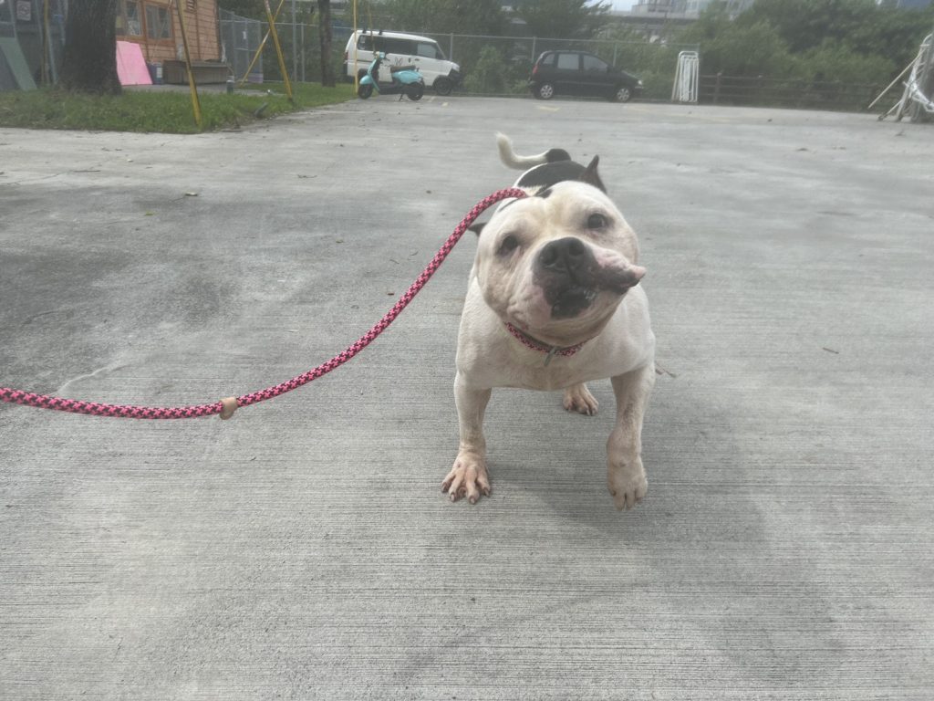 大扣 5 0 1024x768 1