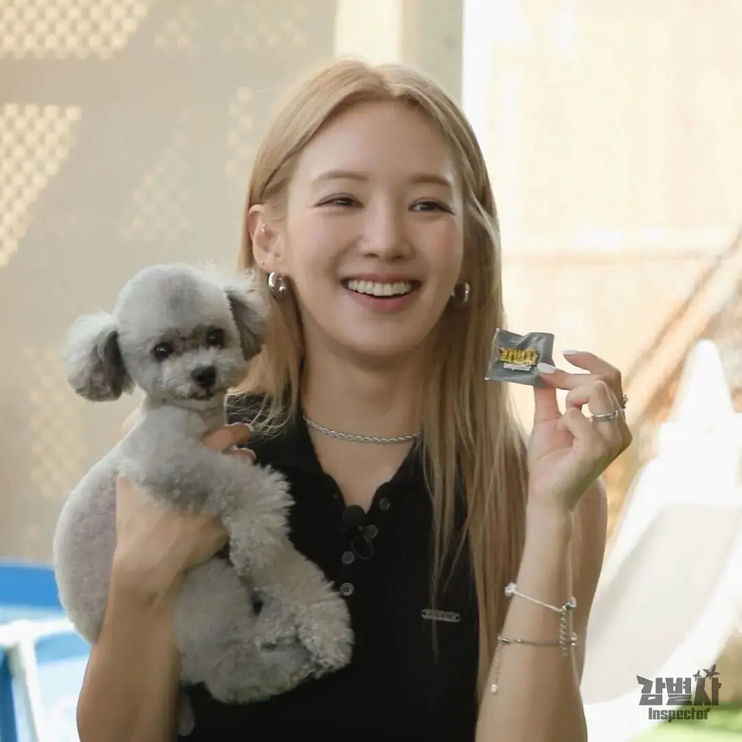 孝淵上鑑定師節目截取鑑定師YT