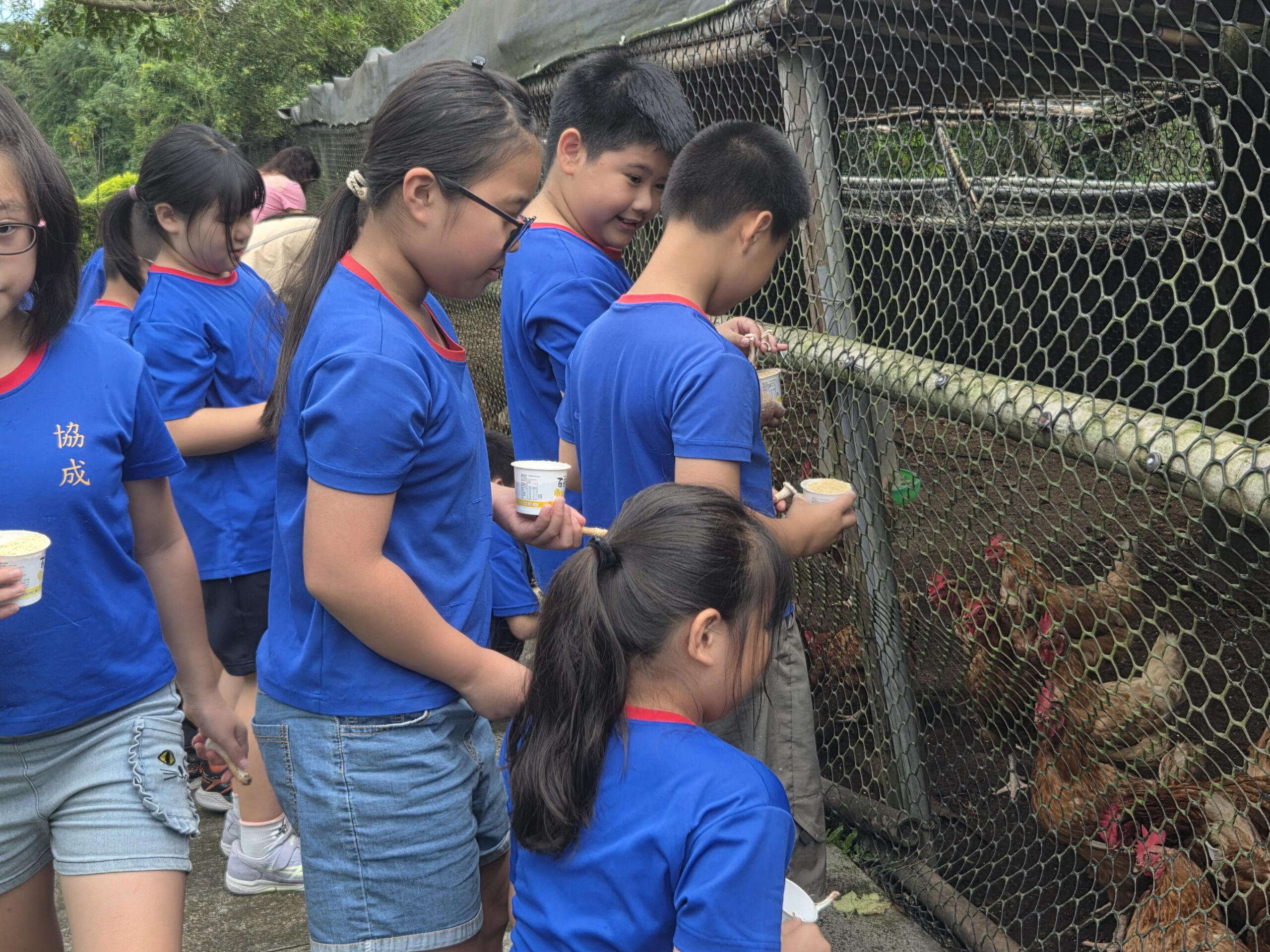 循環農業機制解說 0 1