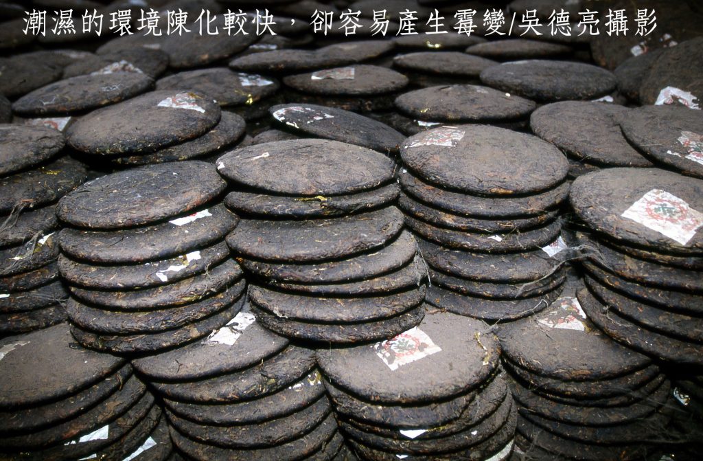 潮濕的環境陳化較快卻容易產生霉變 - 報新聞 Mega News 潮濕的環境陳化較快卻容易產生霉變 1024x671 1