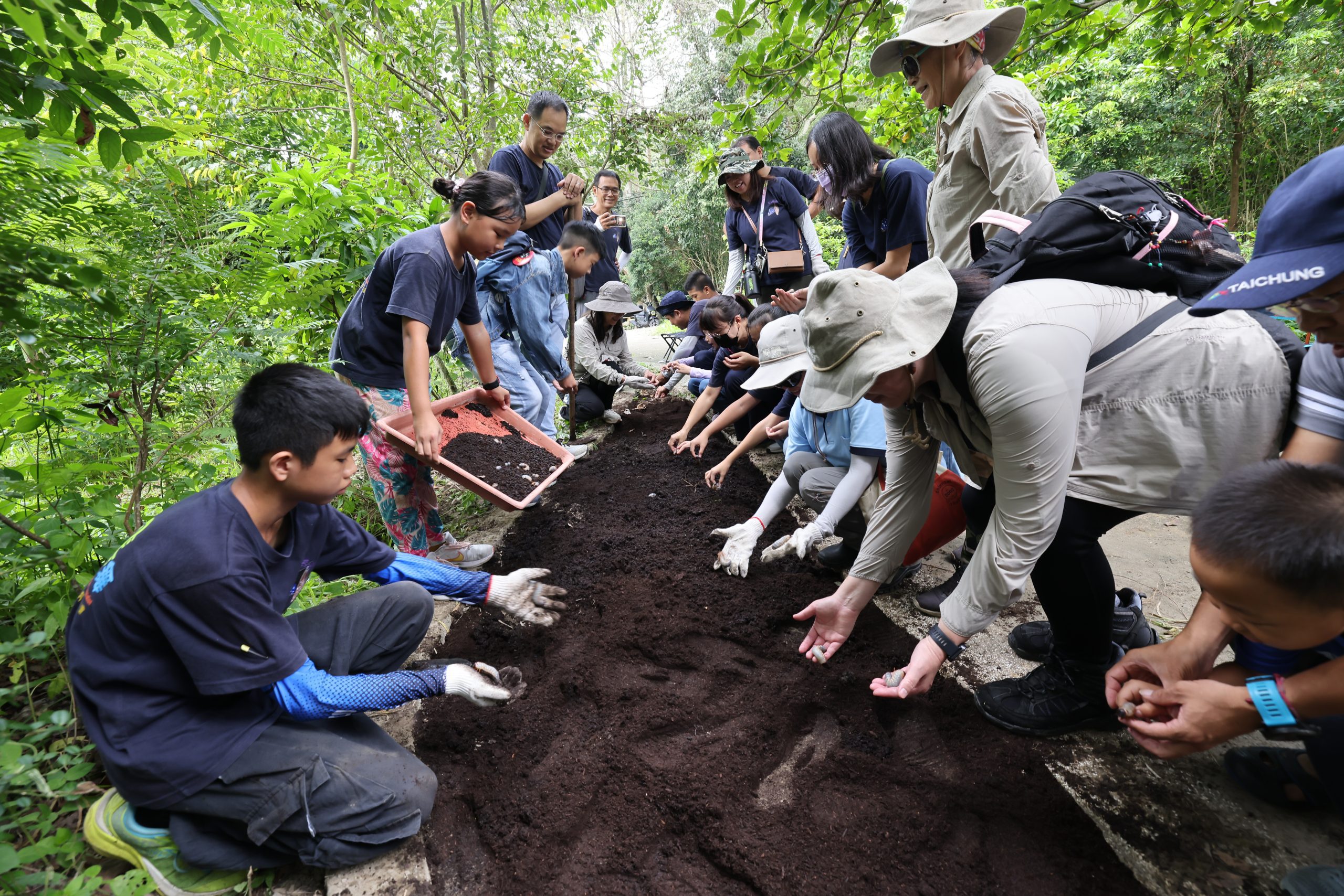 守護生態多樣性 大坑生態園區推動獨角仙及蝴蝶復育 7 獨角仙放養 0