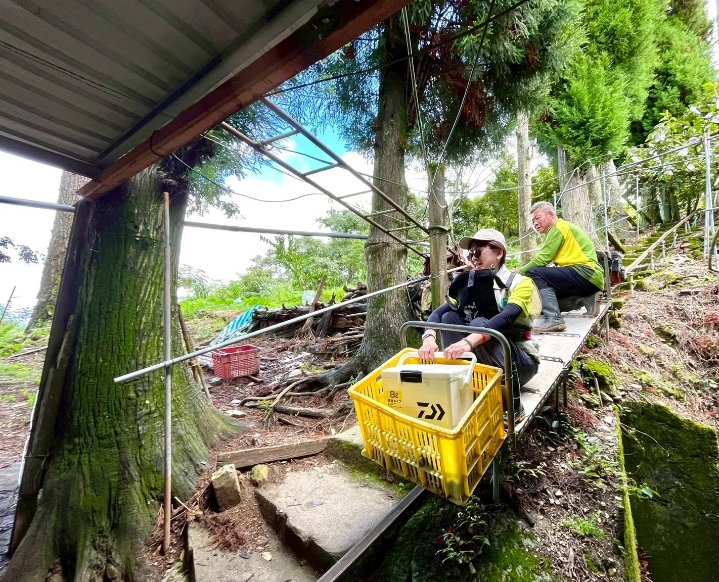 農民以單軌車載送防疫人員至果園幫狗狗打疫苗 0