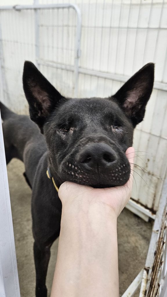 阿屈 6 0 scaled e1758629983541 576x1024 1