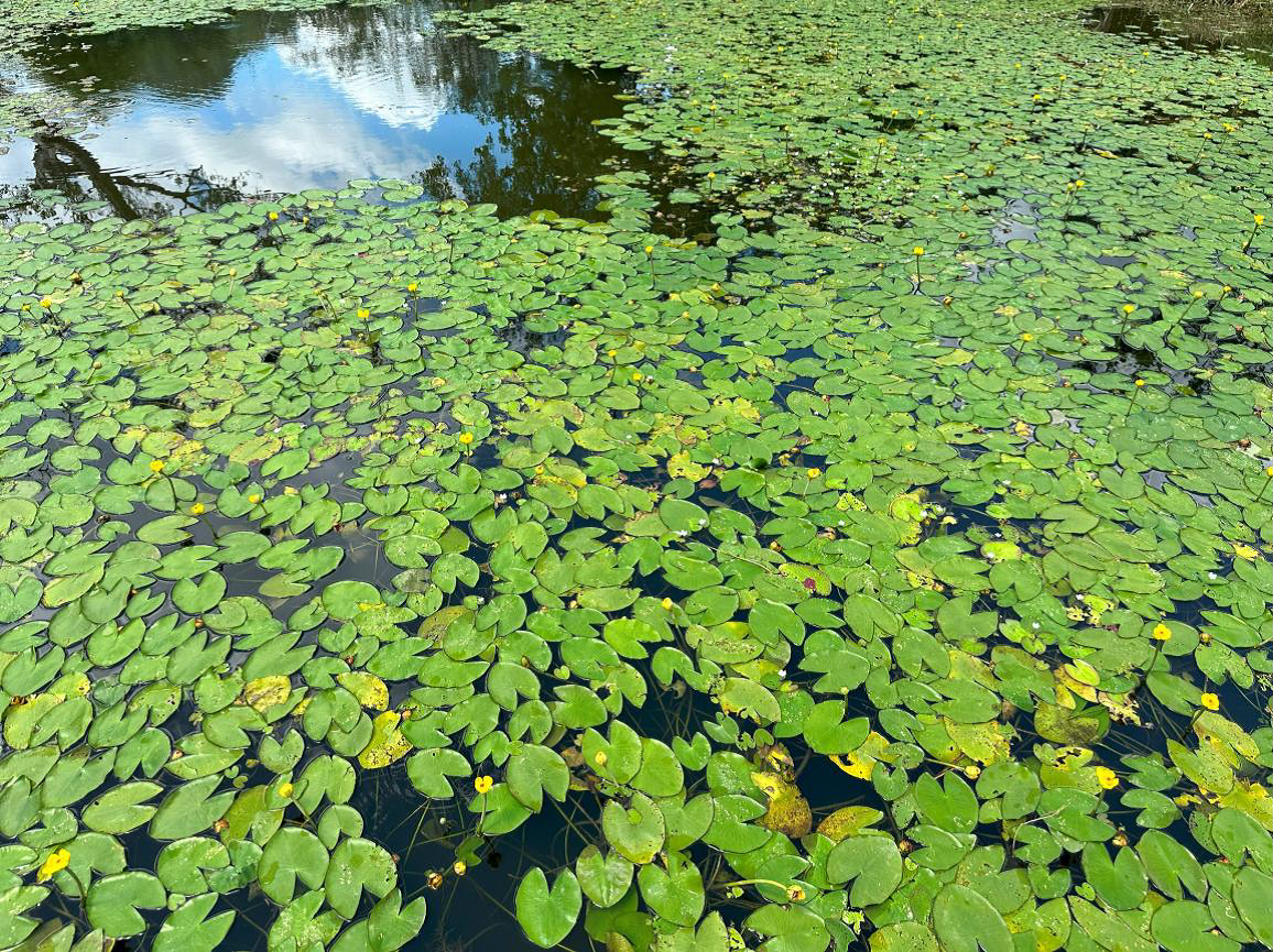 05c5735e 15c1 45fe 9994 db7b8c1f508b 1