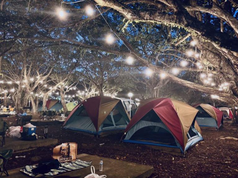 20251005152000 8a2269ca