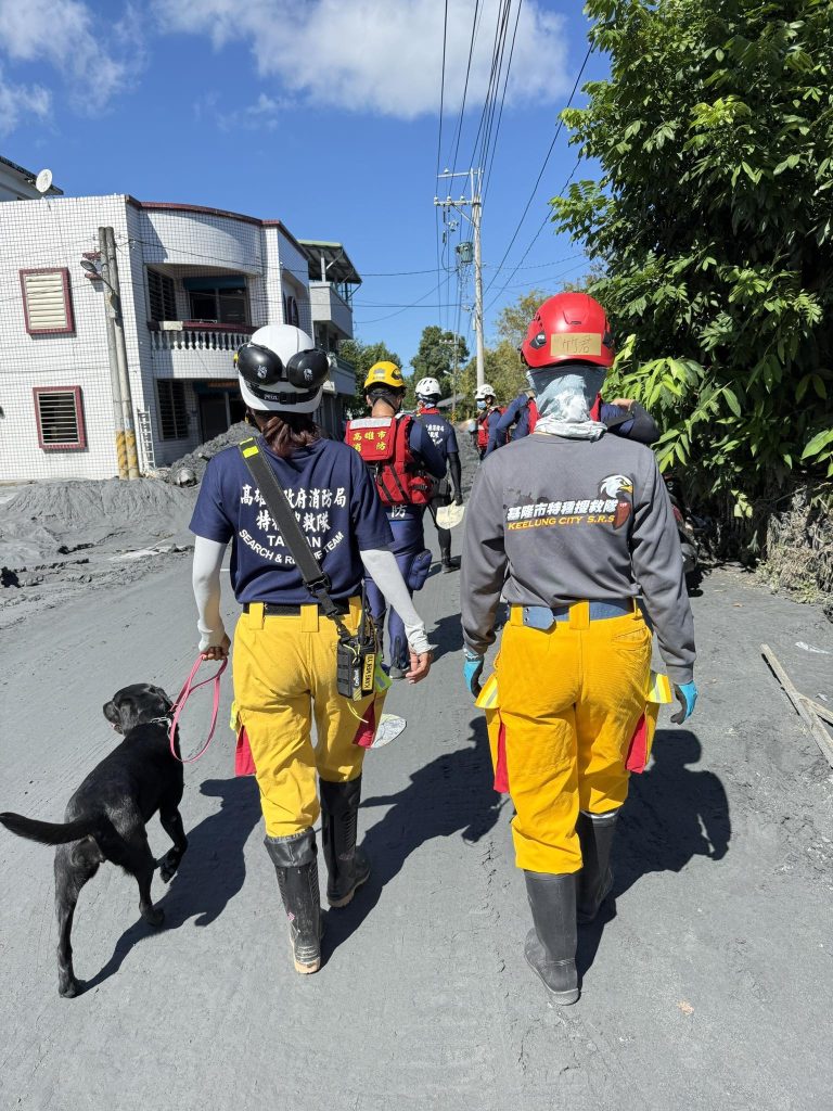 2138103 0 768x1024 1