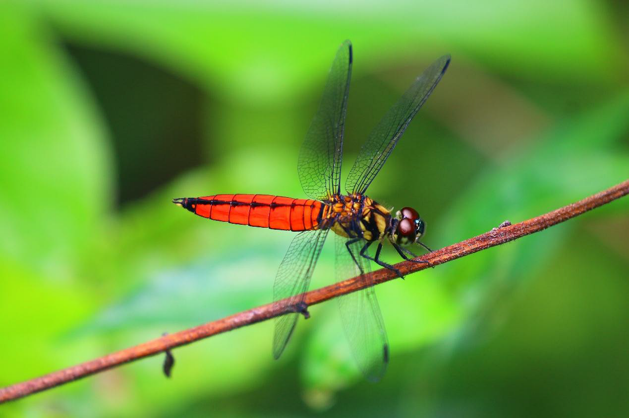 827eac31 0d64 41e2 bb3a c893970b40ff