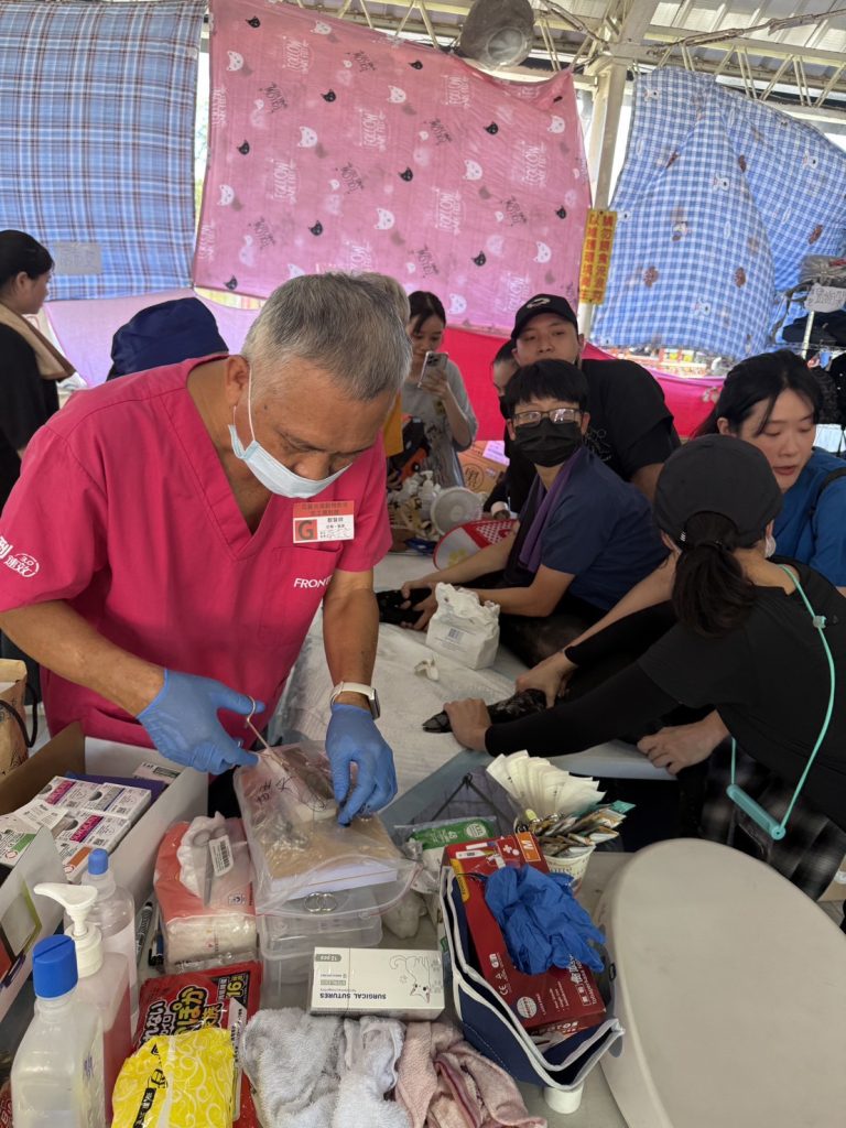 S 487440393 0 768x1024 1