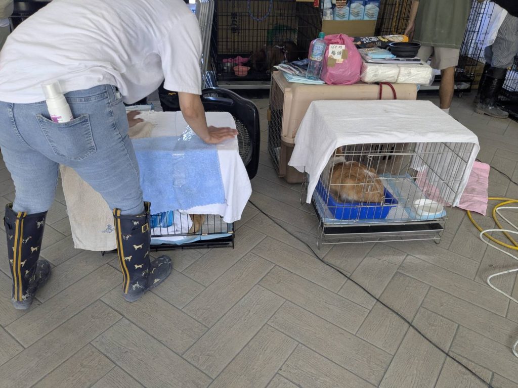 S 487440397 0 1024x768 1