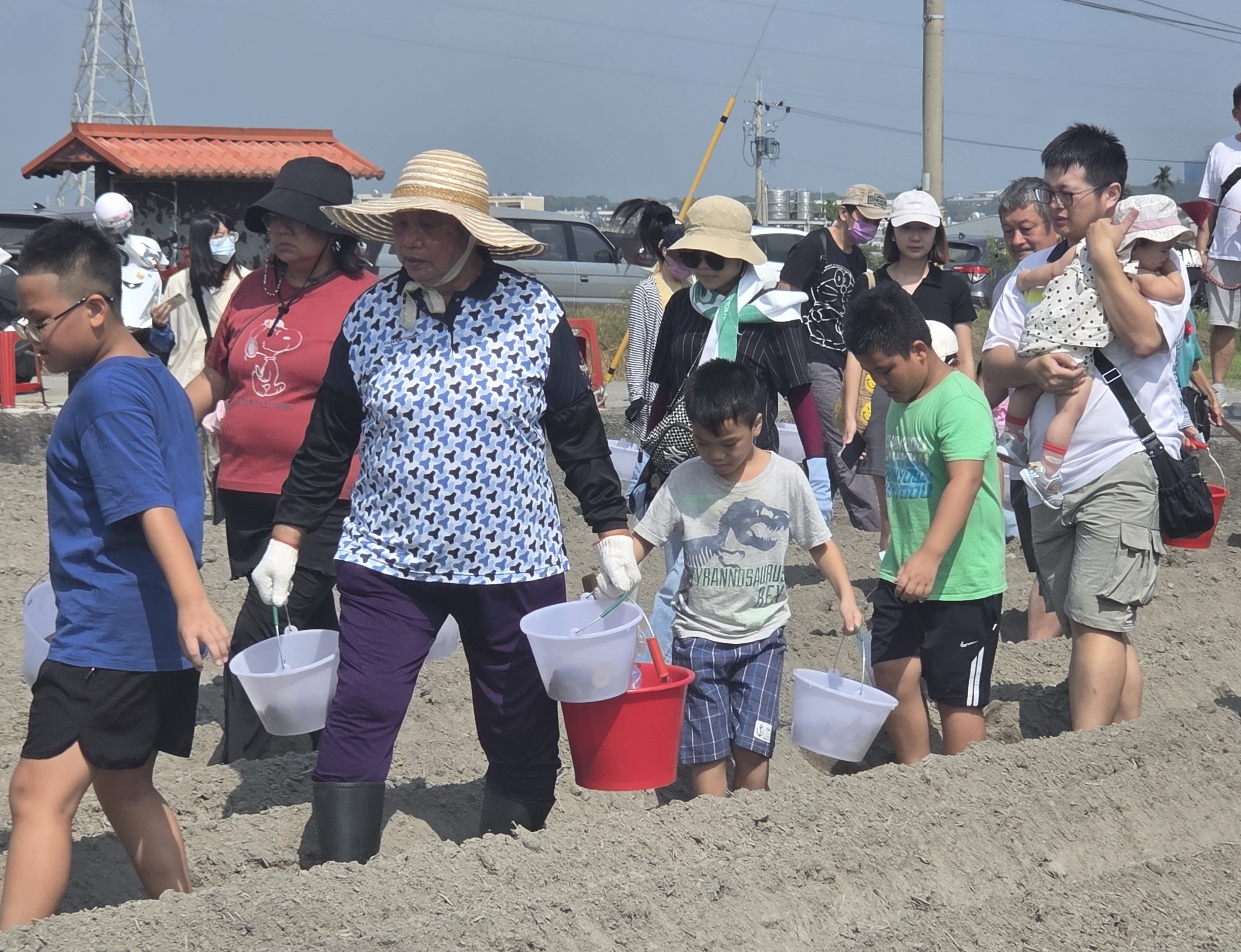 民眾全家一起參與種植馬鈴薯活動
