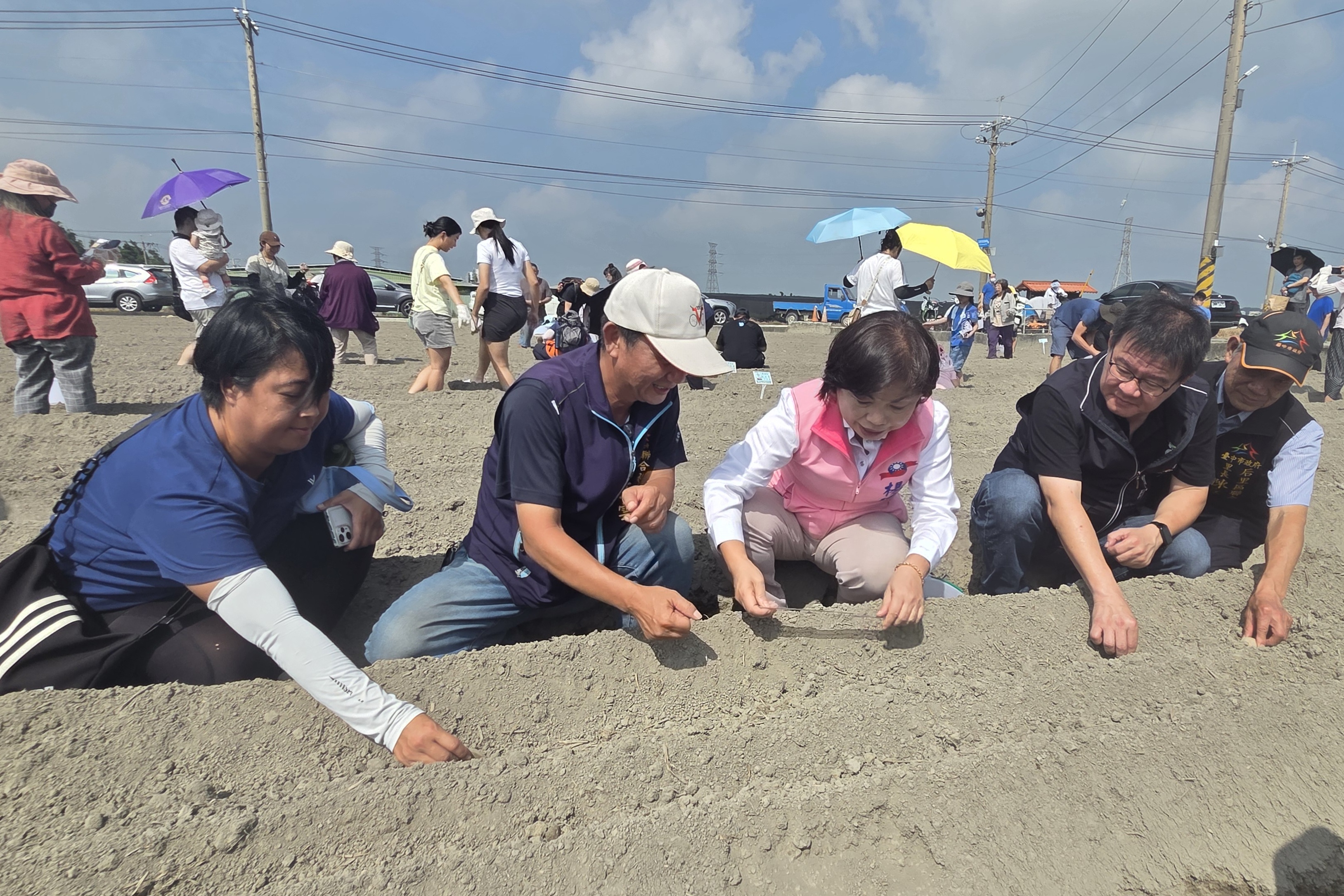 長官們示範種植馬鈴薯